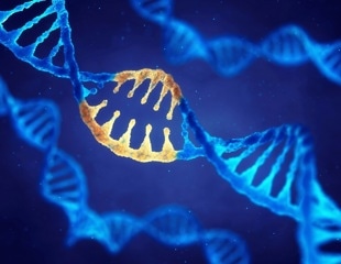 Fruit Fly Model Provides Insights into Pathogenesis of New Genetic Disorder
