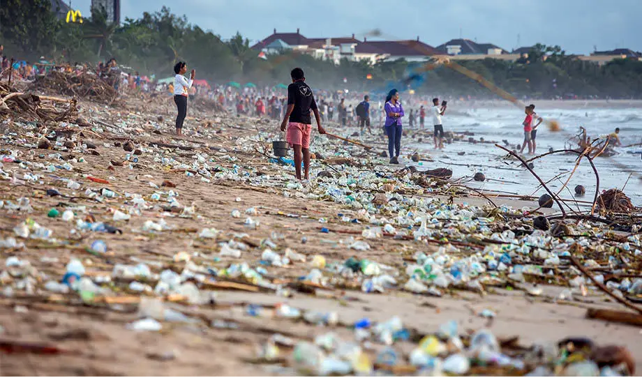 Tackling Pollution with Plastic-Eating Enzymes