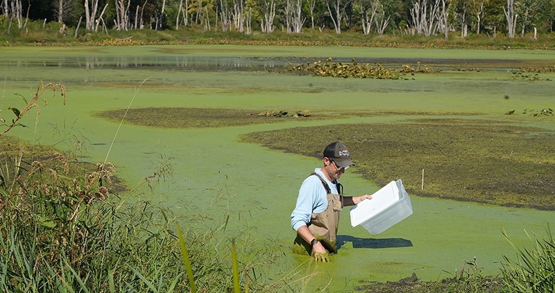 Purdue Team Examines Bio-Impact of Toxic Chemical Cocktails in the Environment