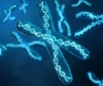 The Exclusome, A New Mammalian "Container"