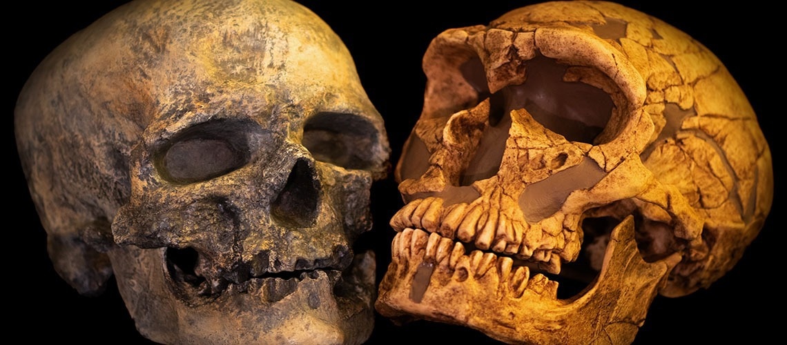 The Story of Sapiens and Neanderthals as Told by Genomes