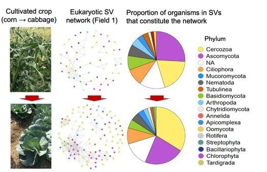 The Agricultural Soil Microbiome: A DNA Metabarcoding Perspective