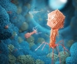 Bacteriophages as Unexpected Allies in Mammalian Health