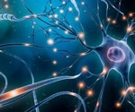 The Adaptable World of Dendritic Cells in Immunity