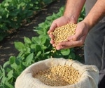 Developing New Strategies for Soybean Molecular Breeding