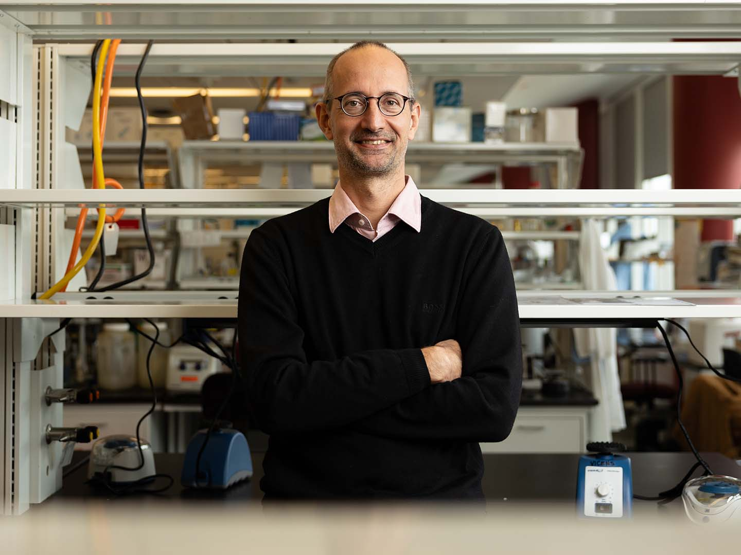Exploring Z-RNA’s Role in Immune Response