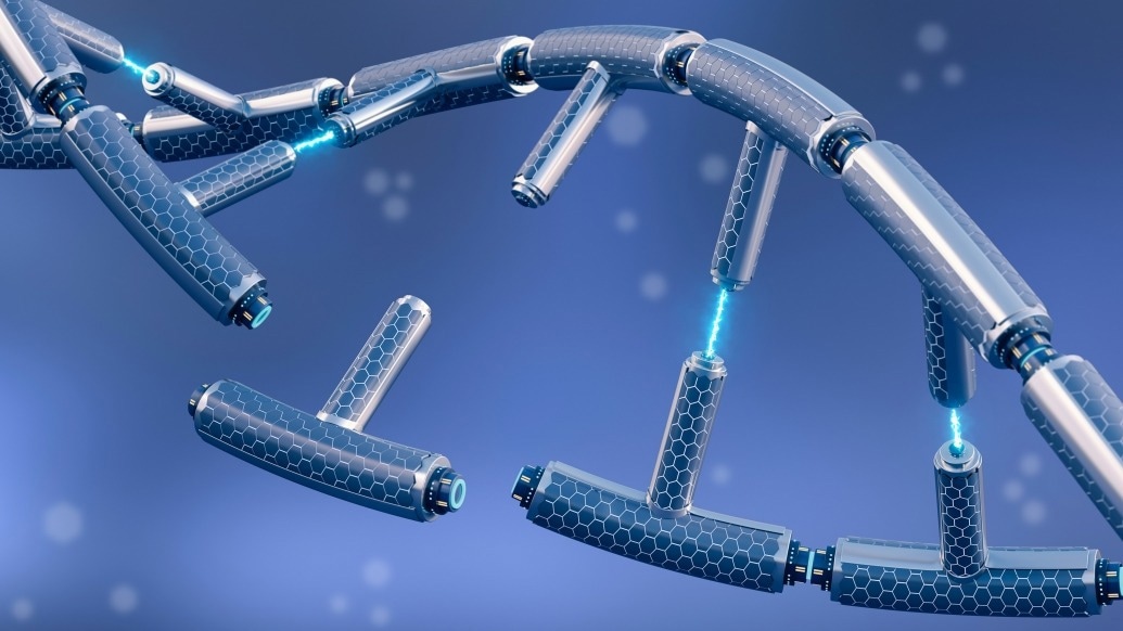 Nucleotide Metabolite Controls DNA Repair and Cancer Sensitivity