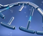 Nucleotide Metabolite Controls DNA Repair and Cancer Sensitivity