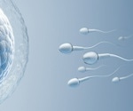Understanding the Dynamic Regulation of Manchette Microtubules in Sperm Development