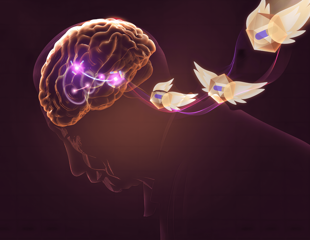 Novel Gene Therapy Targets Core Motor Symptoms of Parkinson’s Disease