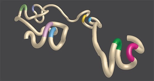 Unveiling the Role of Foxp3 in Shaping Chromatin Architecture of Regulatory T Cells
