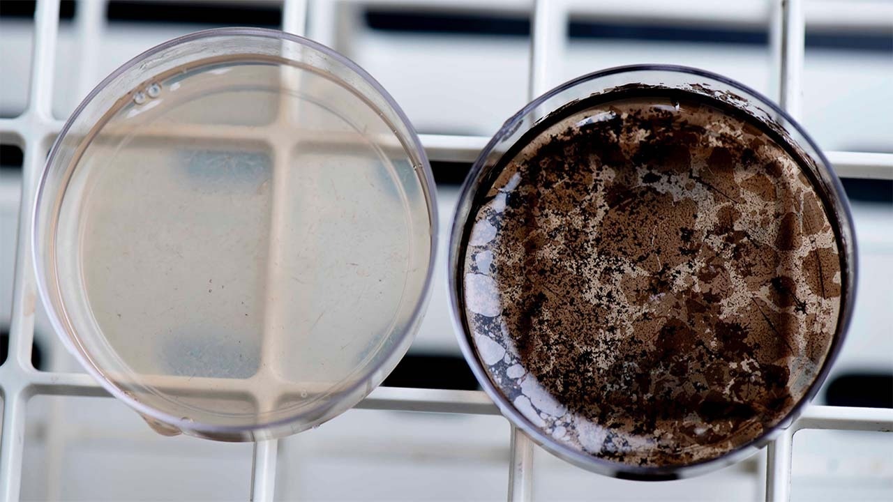 Unleashing the Power of Melanin in Space for Next-Gen Biomaterials