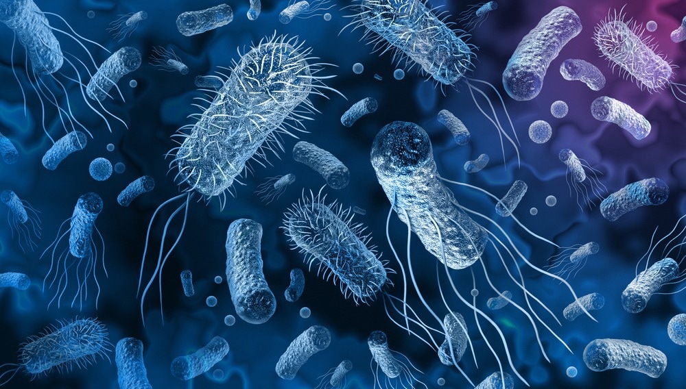 Image Credit: Lightspring/Shutterstock.com
