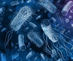 A Glimpse Into the World of Bacterial Metabolism Within Hosts
