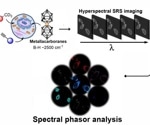 Revolutionizing Live Cell Imaging: Dye-Based Techniques for Rapid, Clear Insights
