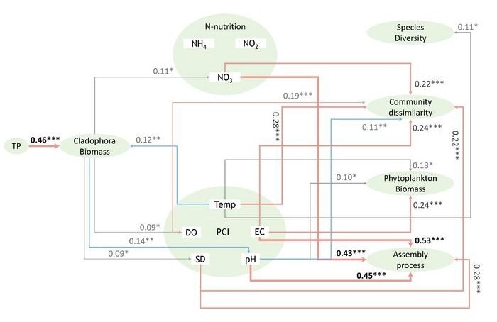 Understanding Phytoplankton Dynamics in Qinghai Lake