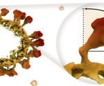 Structural Insights Into Coronavirus Spike Proteins