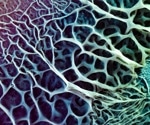 OSU Scientists to Send Biofilms to Space to Study Gravity Effects