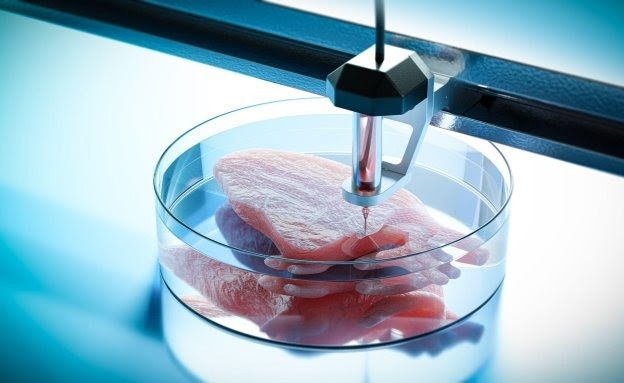 A Glimpse into Future: Bioprinted Organs May Become Reality in Two Decades