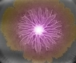 Novel Approach Reveals Intergenerational Cooperation Among Bacteria