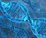 New Optical Tweezers Open Up New Insights on Specific DNA Motor Proteins