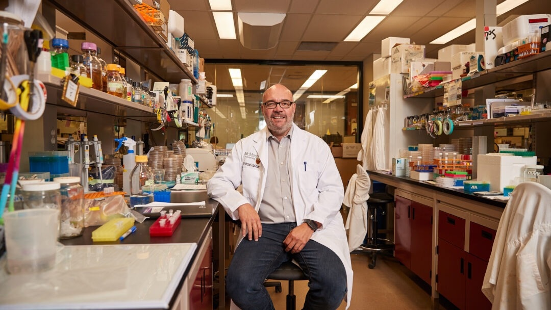Unraveling Bacterial Resistance: Unique Features Identified by McMaster University Scientists