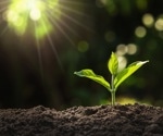Where Does the Light Come From? Optical Properties Allow Plants to “See” Light