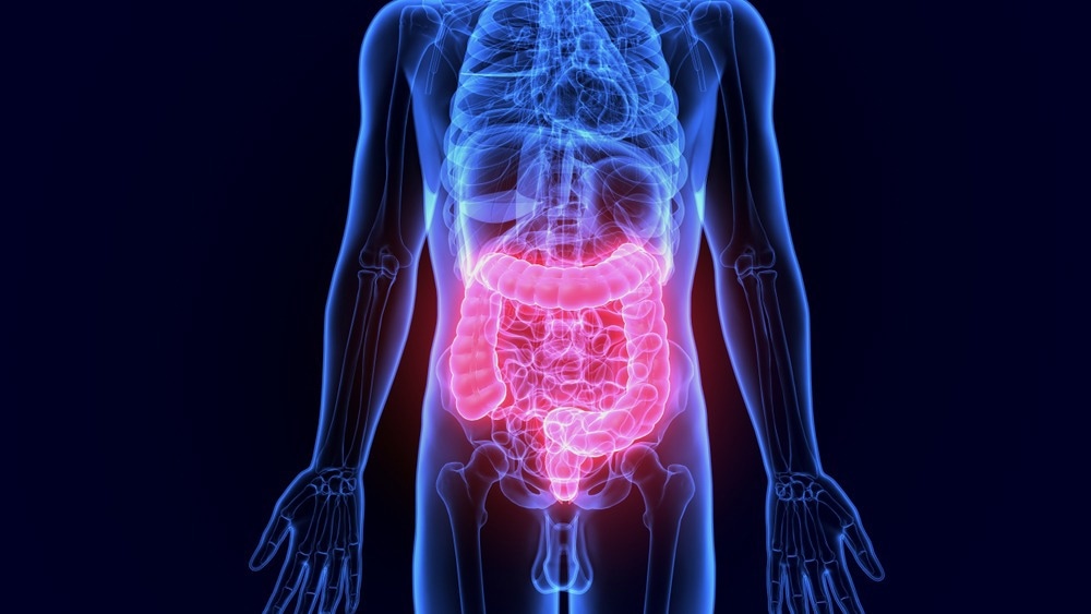 Image Credit: Life science/Shutterstock.com