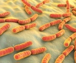 The Extraordinary Genetic Memory System of Dormant Bacterial Spores