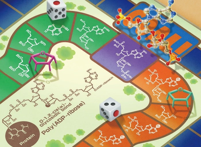 “Sugar” Molecule in Cells Plays Crucial Role in Disease Prevention