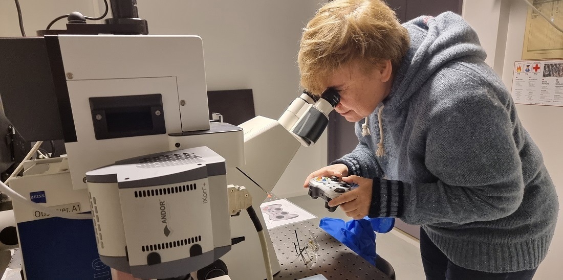 Simplifying Bacterial Genetic Material Detection