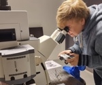 Simplifying Bacterial Genetic Material Detection