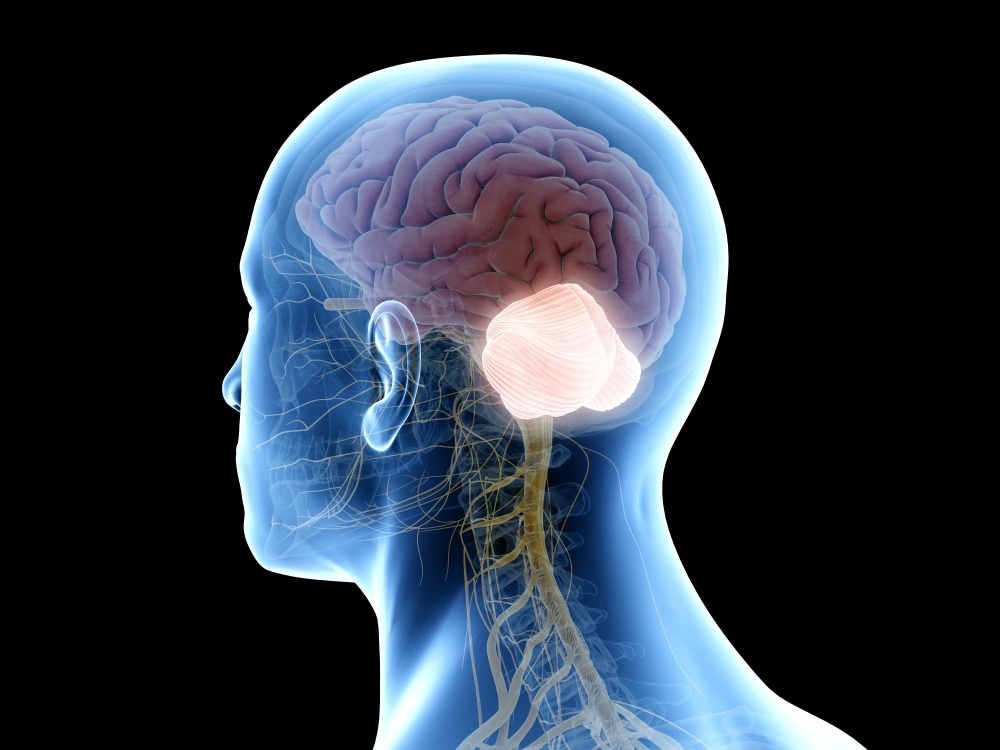 Image Credit: SciePro/Shutterstock.com