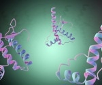 Prion Protein Forms Dynamic Liquid Condensates to Regulate Copper Ions