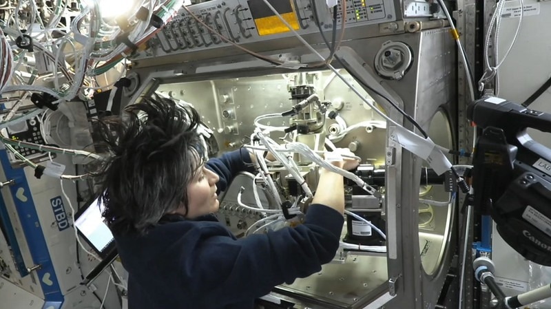 No Container, No Problem—Studying Self-Contained Spheres of Liquid Protein in Space Could Help Improve Medicine on Earth