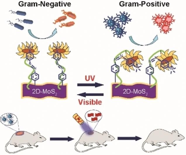 A Breakthrough in Combatting Multi-Drug Resistant Bacteria