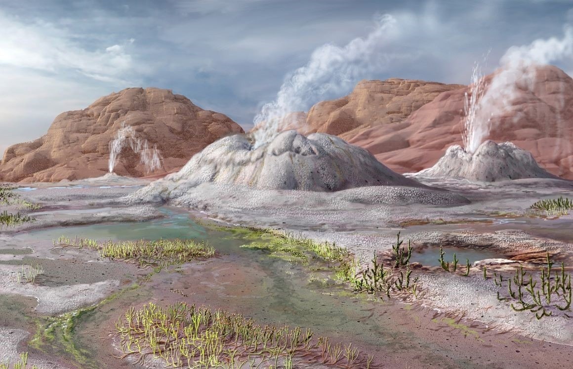 The Discovery of a Unique Fungal Species and its Interaction with Asteroxylon mackiei