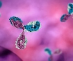Deciphering the Chemistry Behind Antibody Tetramerization