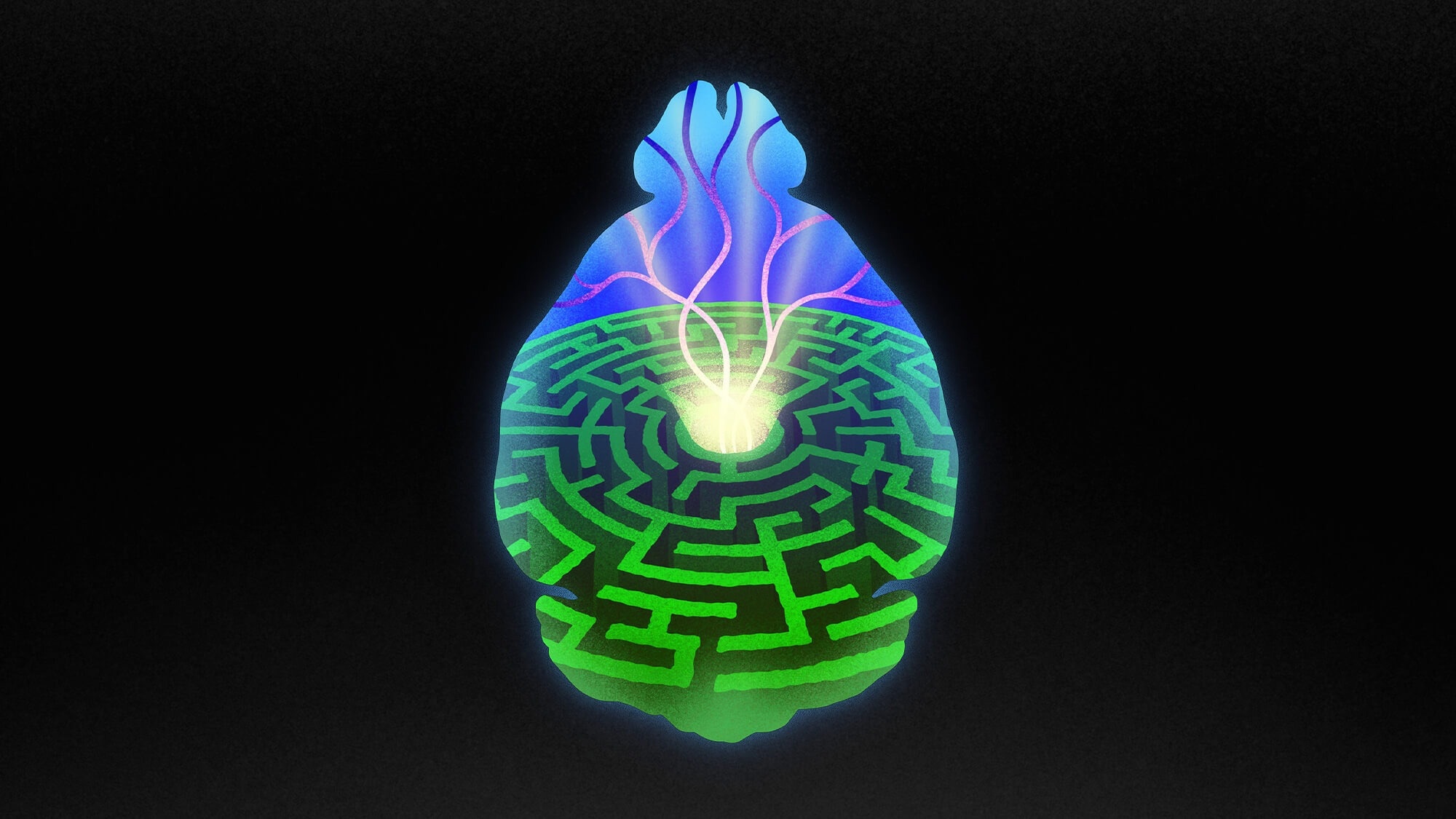 Unveiling the Brain