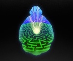 Shedding Light on the Brain's Reward System
