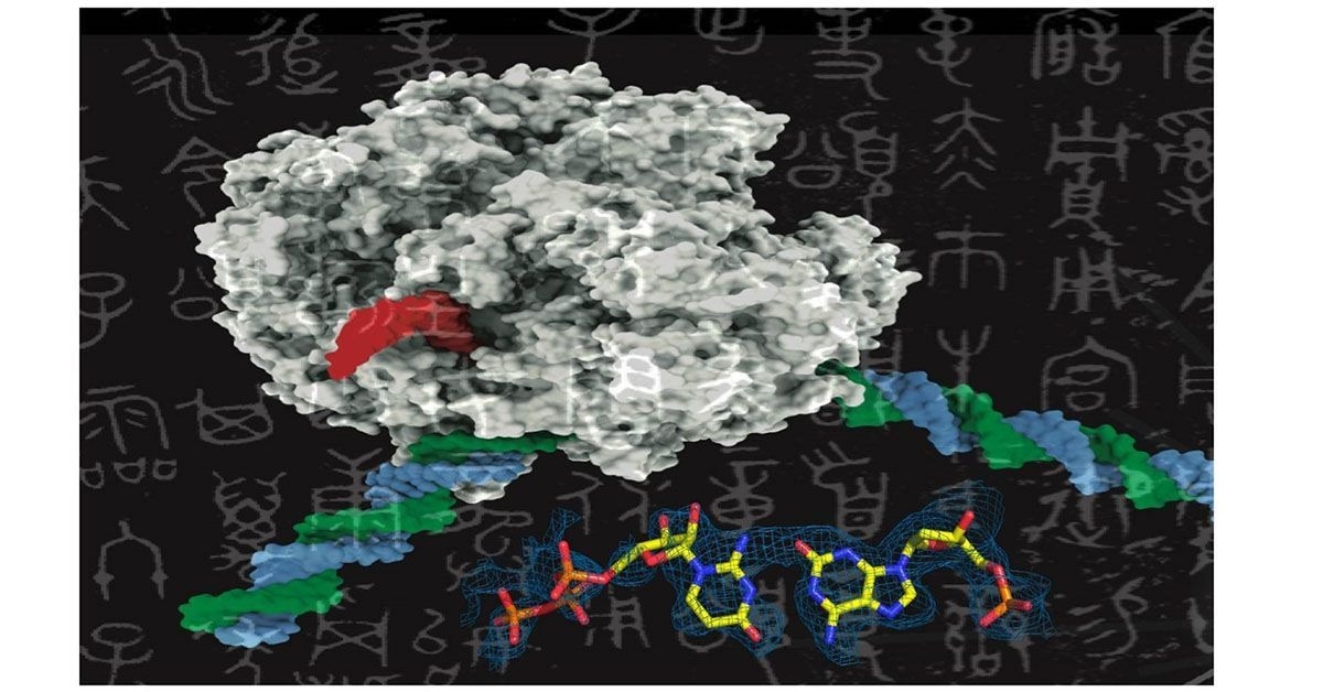Scientists Crack the Code for Artificial DNA, Paving the Way for Designer Proteins