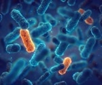 Study Delves into the Transmission of Antimicrobial Resistance Among Cockroaches