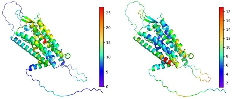 Innovative Machine Learning Tool Predicts Functional Consequences of Genetic Variants