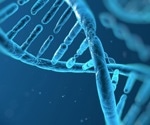Exploring the Role of Facilitators in Gene Expression