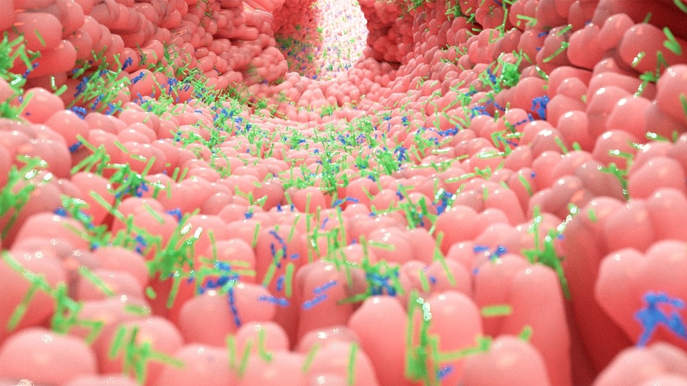 Image Credit: Alpha Tauri 3D Graphics/Shutterstock.com