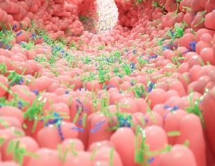 The Impact of Gut Microbiome Communities on Pathogen Protection