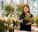 Exploring Plants’ Complex Metabolic Networks
