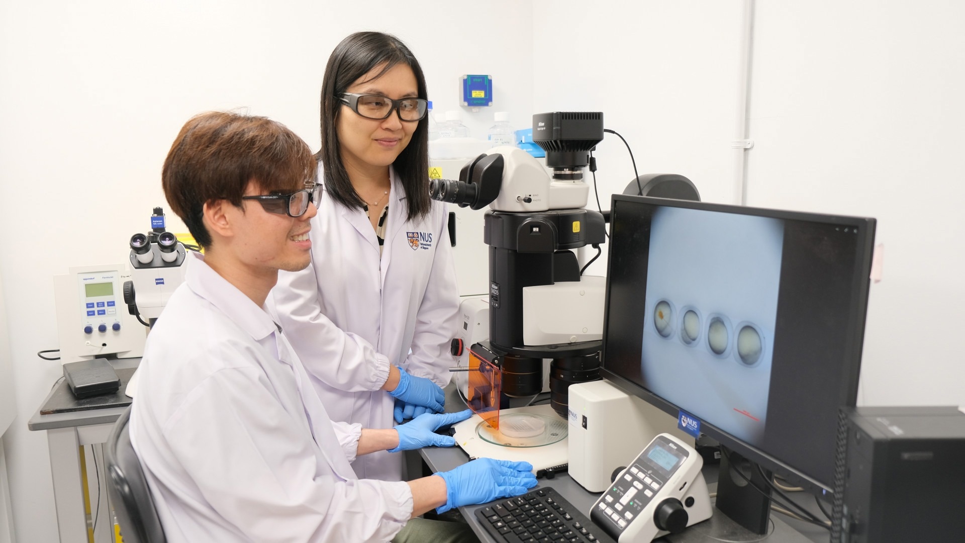 Zebrafish Embryo Model Unveils Breakthrough Cultivation Method