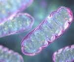 Researchers Identify Key Protein in Maintaining Two Organelles, Thereby Preventing Cellular Aging