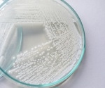 Novel Solution Revolutionizes Enzyme Production